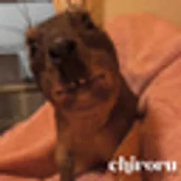 Chiroru