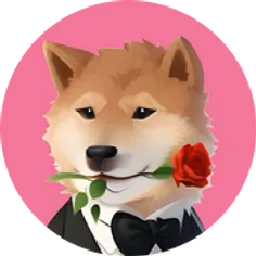 VDOGE