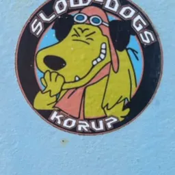 50