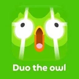 DUOLINGUO