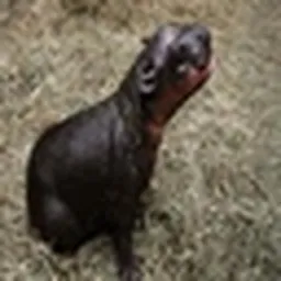 OMI