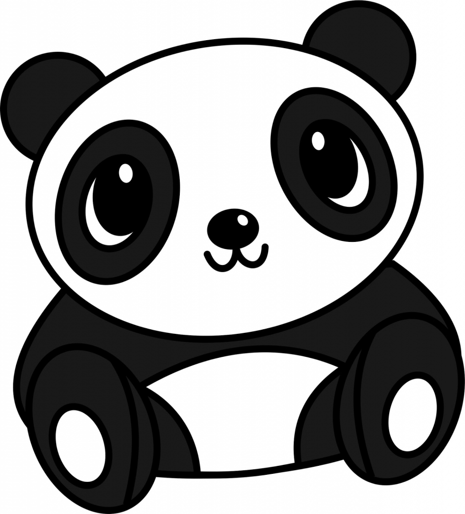 BUSDPANDA