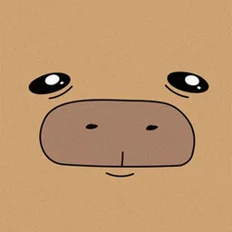 CAPY