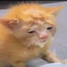 MILKCAT