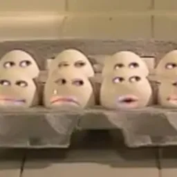 EGGS