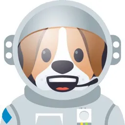 DogeX