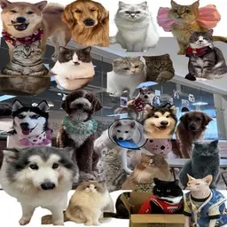 AWW