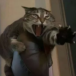 GIB