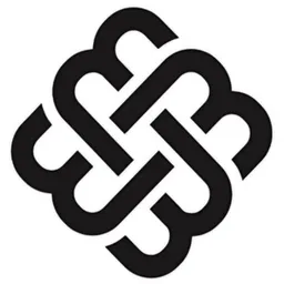 MSVAI