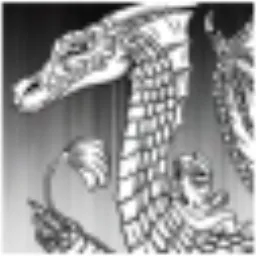 $SDRAGON