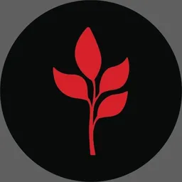 MarsMi