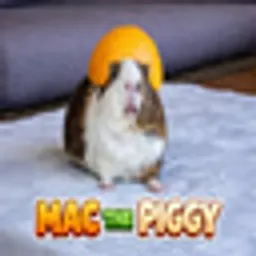MAC