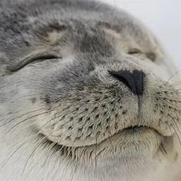 $CSEAL