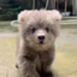 JunJun 俊俊
