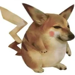 DOWDOG