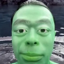 GPIRL