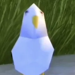 mateo