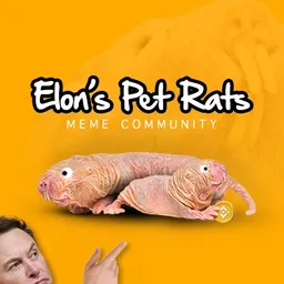 EPR