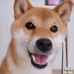 KOMA