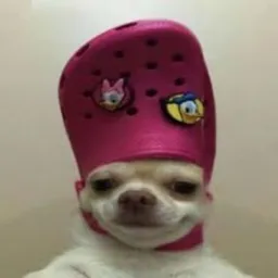 CROCCY