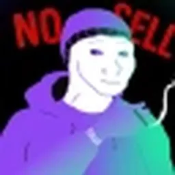 NSSOL