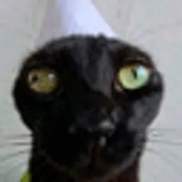 IGOR