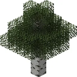 BHTE