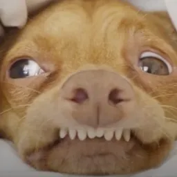 Tuna