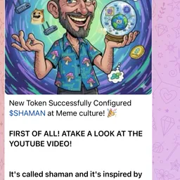 Meme culture