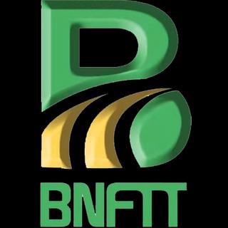BNFTT