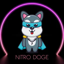 NIDG