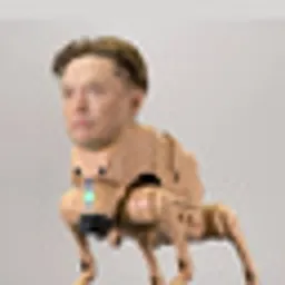 ANIMALS