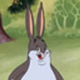 CHUNGUS
