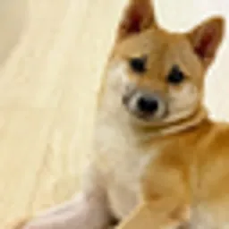 pochita