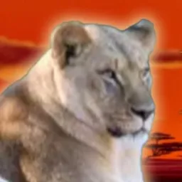 Neema