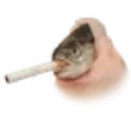 SCF