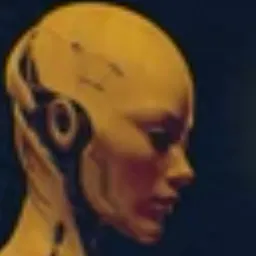 PXAI