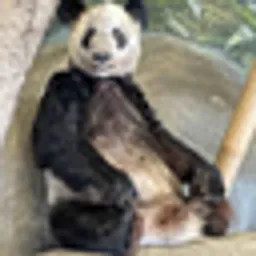为娅娅伸张正义