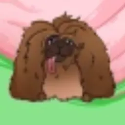 UDOG