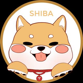 SHIBA