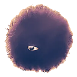 NOSE