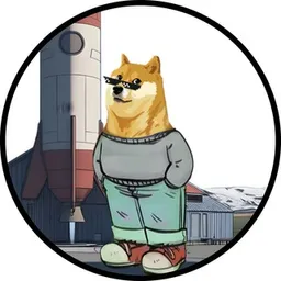 ROCKETDOGE
