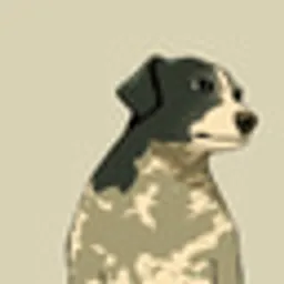 BHDOG
