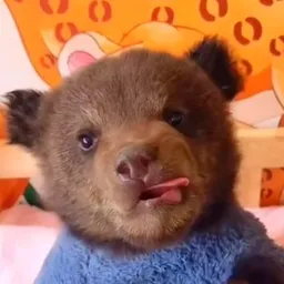 hubert