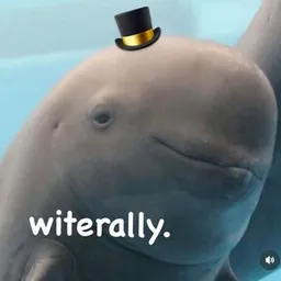 WIT