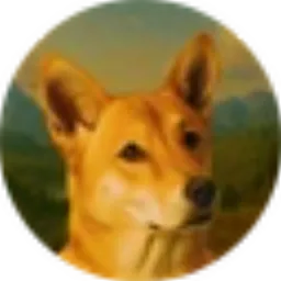 DINGO