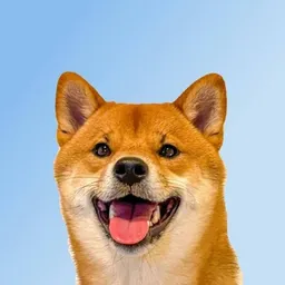 YUKI