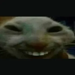 XDD