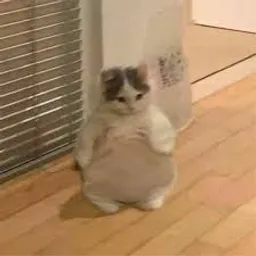 FATMICHI