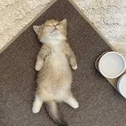 eepy